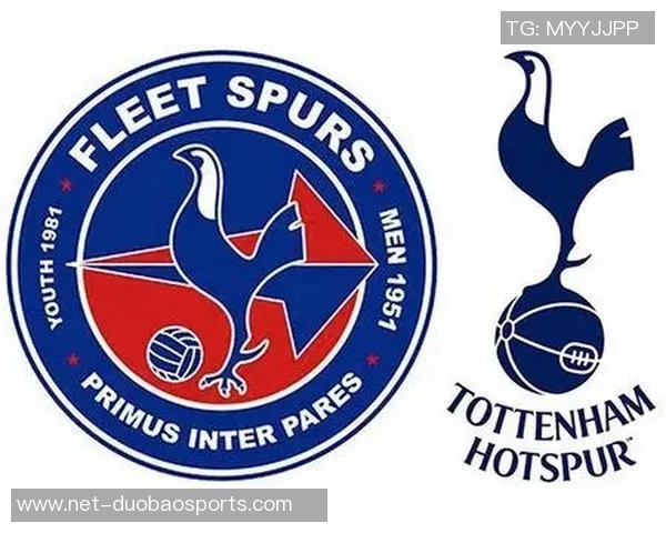 激情四溢的足球拉拉队口号助力球队勇往直前赢得胜利